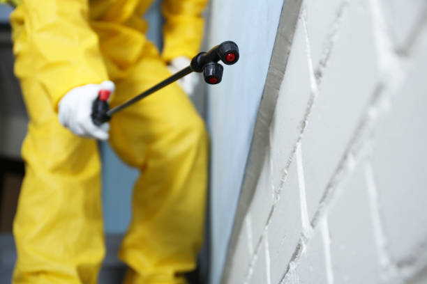 Best Emergency Pest Control  in Woodbranch, TX